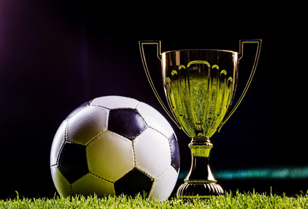 闵鹿蕾的再 闵鹿蕾的再