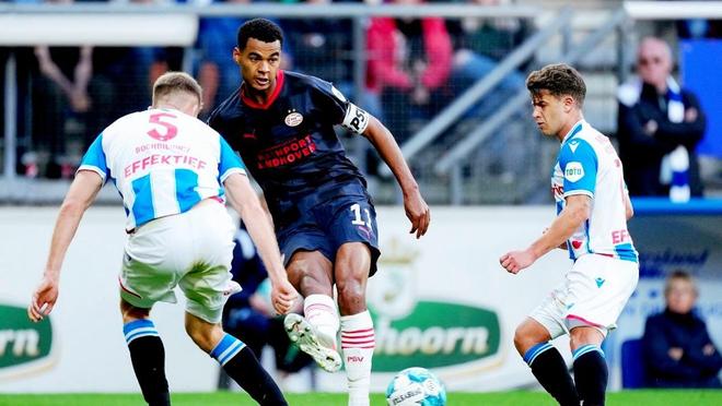 形成了强大 形成了强大