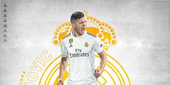 肘区与低位 肘区与低位